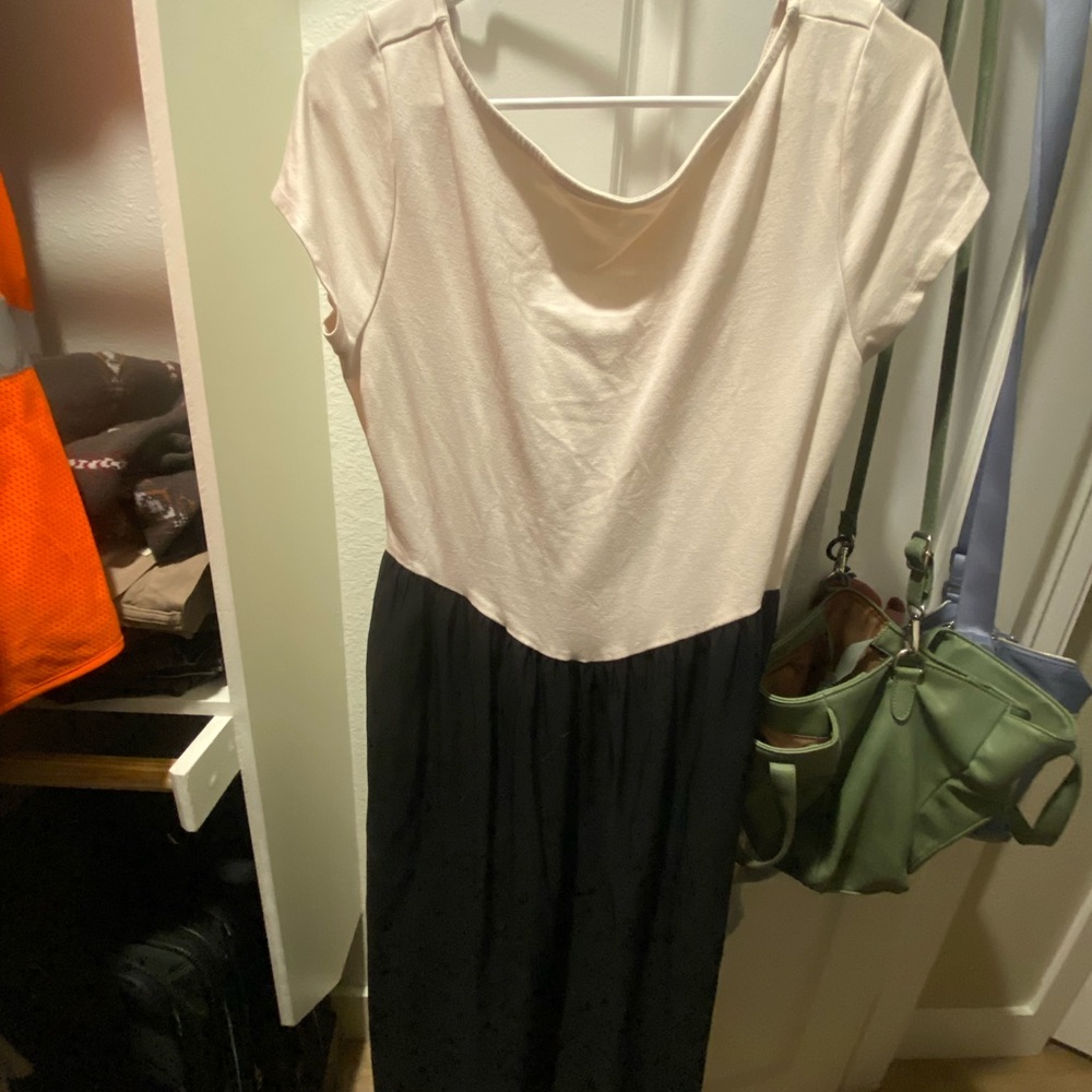 a new day Cream and Black Midi Dress